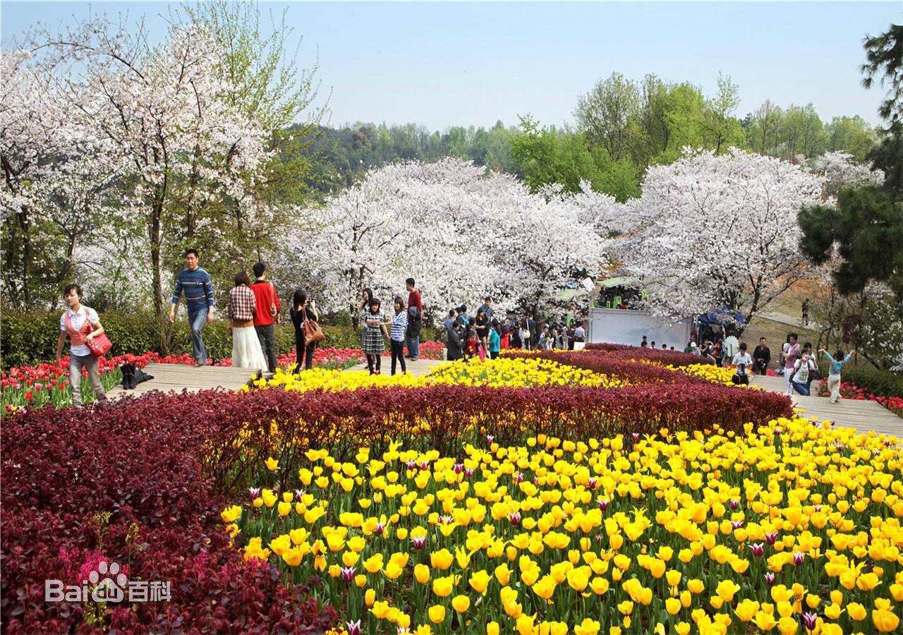 绥化森林植物园