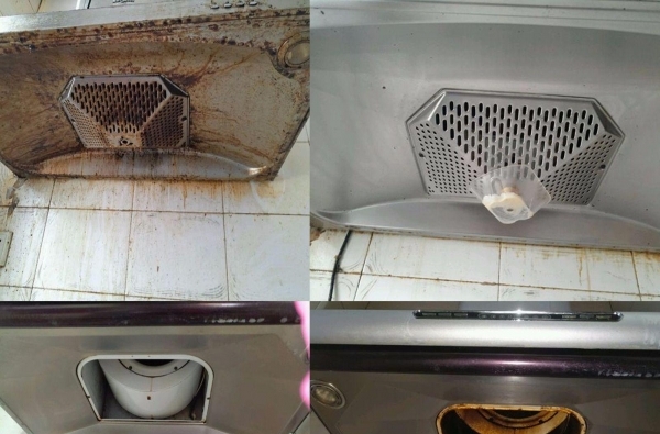 灭蟑螂 灭蚂蚁 灭老鼠 灭蚊蝇 等各种害虫 清洗洗衣机 油烟机 热水器