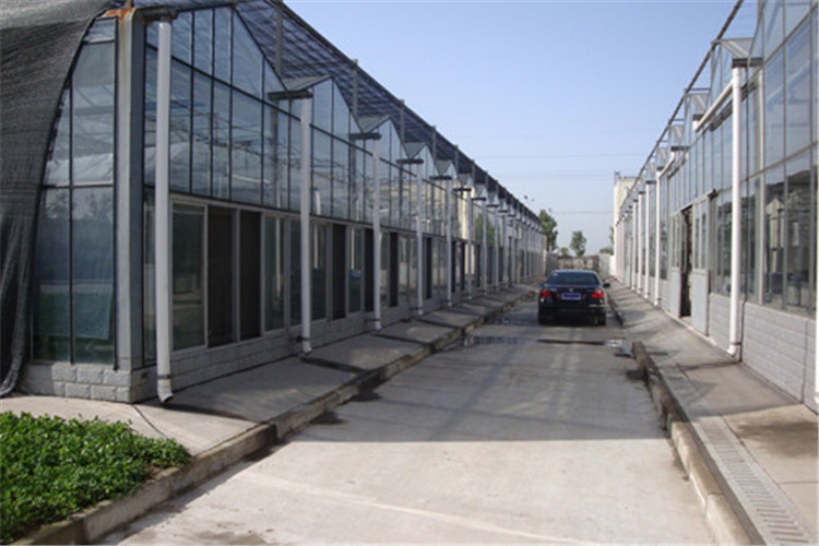 玻璃温室造价、阳光板温室造价