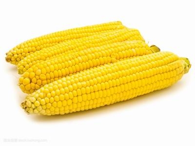 收售玉米8