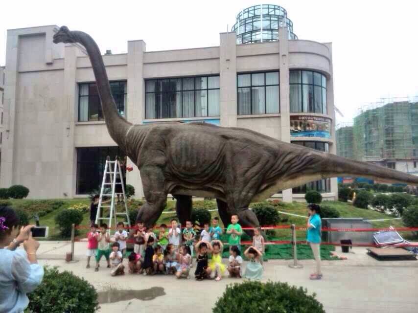 仿真恐龙展活动策划恐龙展主题展 仿真恐龙展 活动策划恐龙展主题展