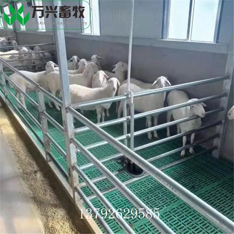 羊漏粪地板 羊圈羊床建设 羊场用羊床