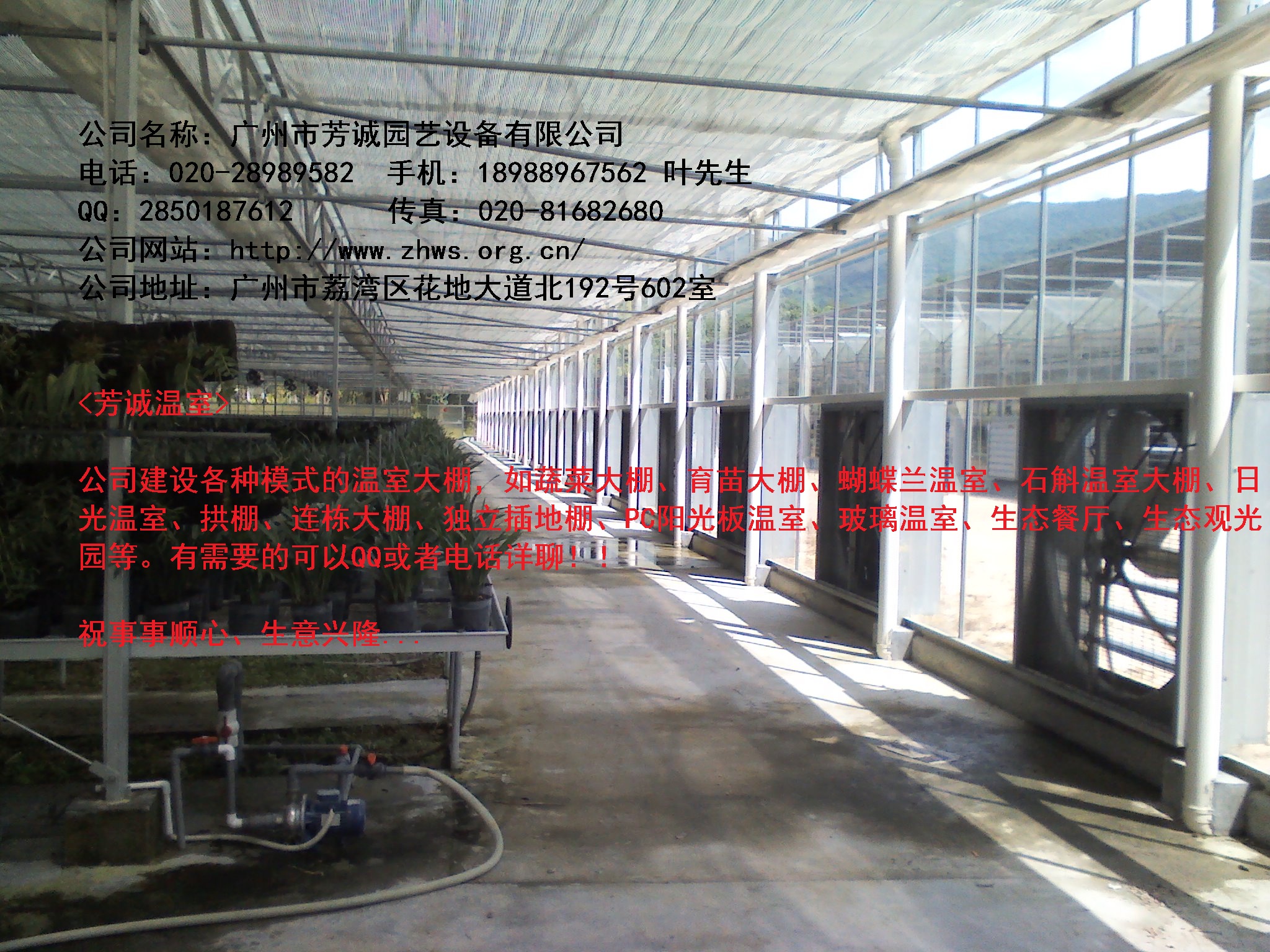 供应广东玻璃温室