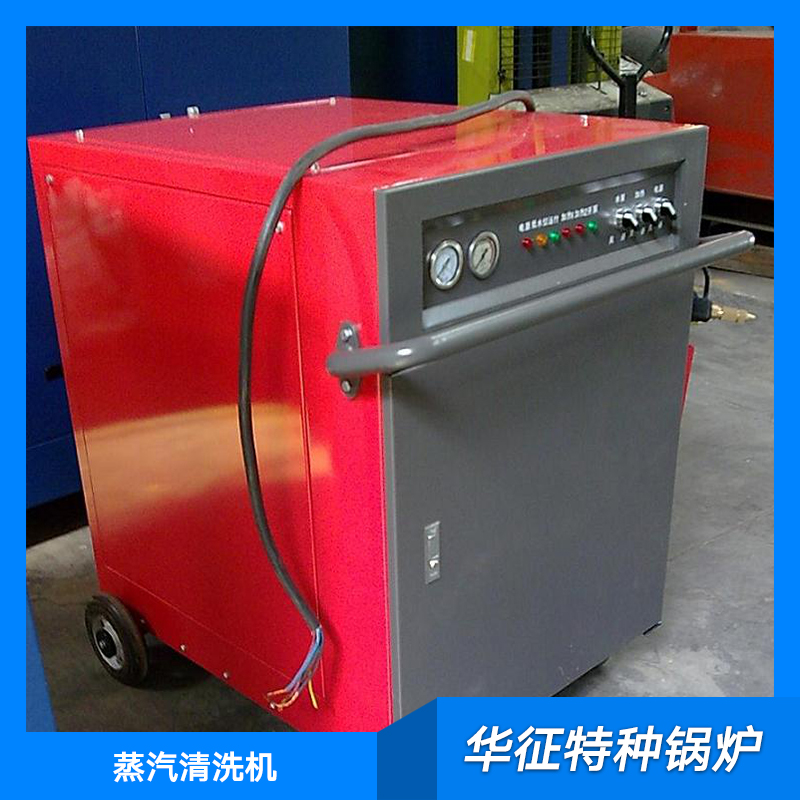 供应蒸汽清洗机生产 蒸汽清洗机直销 蒸汽吸尘清洗机 蒸汽清洗机供应商
