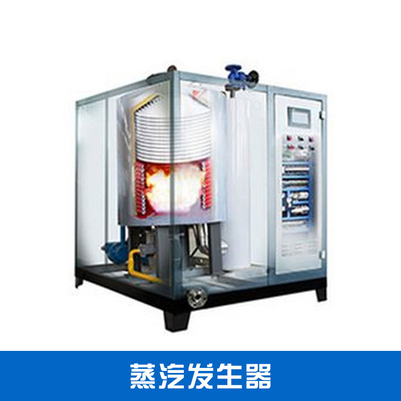 青岛海力新能科技小型燃气蒸汽发生器节能环保工业燃气锅炉蒸汽发生机