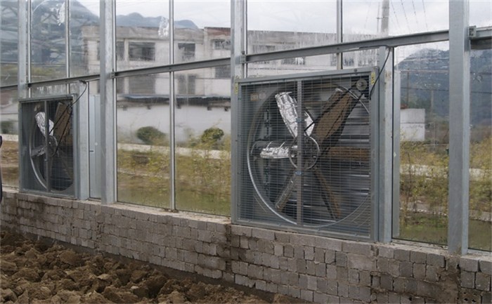 塑料大棚温室风机